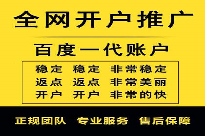 竞价广告在XX行业的成功应用案例
